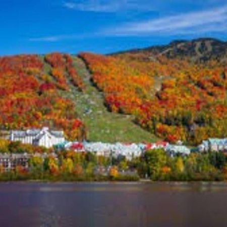 Chalet L'Erable Mont-Tremblant/Lac Superieur & Spa Lac-Superieur Exterior foto
